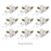 Box of 9 pre-wired white Singapore orchid sugar flower sprays for cake decorating