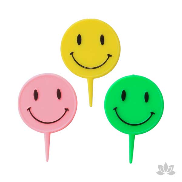 Happy Smile