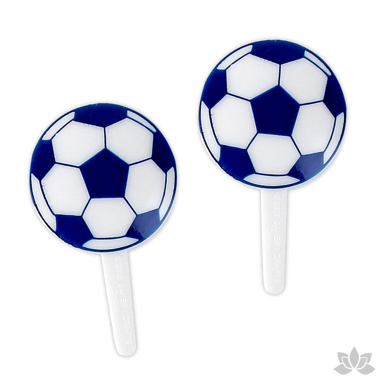 Blue Soccer Ball Picks