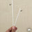 6" Paper Lollipop / Cakepop Sticks