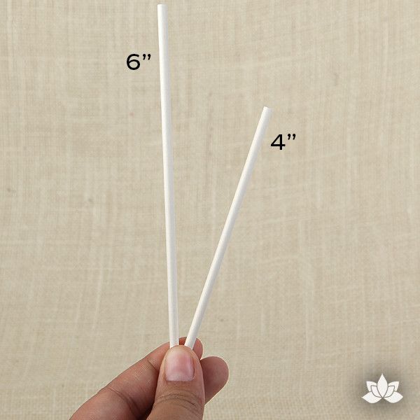 4" Paper Lollipop / Cakepop Sticks