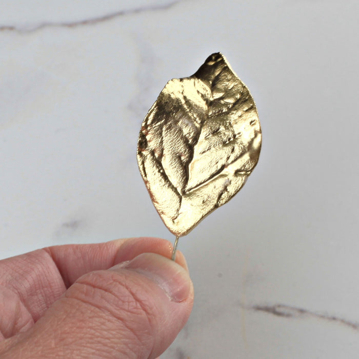 Pharaoh's Gold Lustre Dust — CaljavaOnline