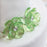 Green Flower Buttons Cake Decorations