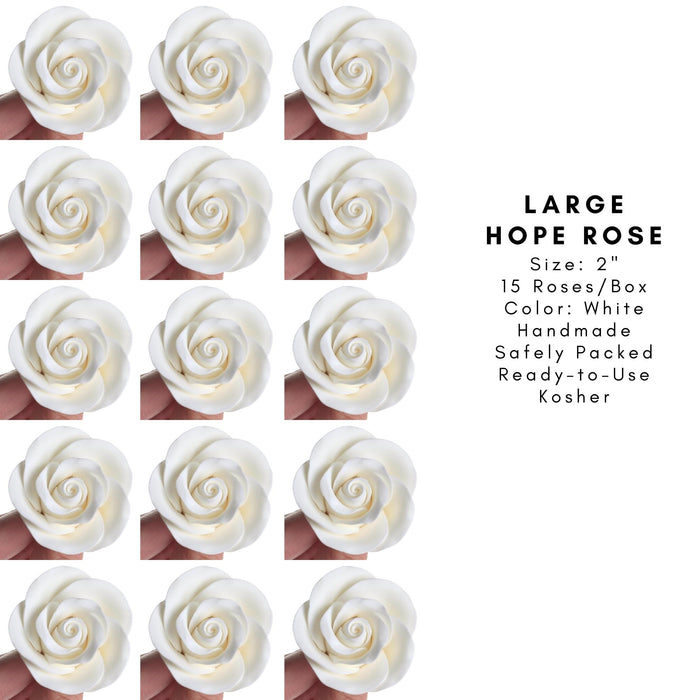 Large Hope Roses - White