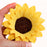 6 piece box set of premade large sunflower sugar flower cake toppers for commercial bakeries and cake decorators.