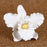 White Cattleya Orchid Sugarflower cake topper great for cake decorating wedding cakes. | CaljavaOnline.com
