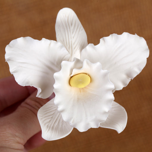 White Cattleya Orchid Sugarflower cake topper great for cake decorating wedding cakes. | CaljavaOnline.com