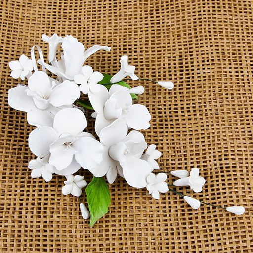 Cooktown Orchid Sprays in White are gumpaste sugarflower cake decorations perfect as cake toppers for cake decorating fondant cakes and wedding cakes. Caljava wholesale cake supply.