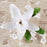 White Gumpaste Orchid Spray Cake topper sugar flower spray perfect for cake decorating fondant wedding cakes and fondant custom cakes.  Wholesale sugar flowers and wholesale cake supply. | CaljavaOnline.com