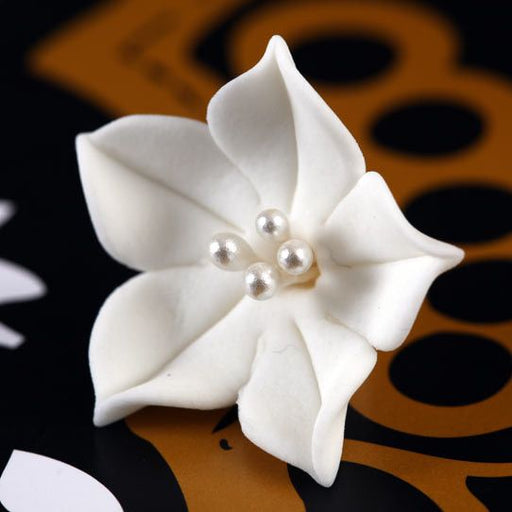 Small White Gumpaste Agapanthus Flower Blossom handmade cake decoration.