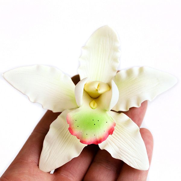 Dendrobium Orchids are gumpaste sugarflower cake decorations perfect as cake toppers for cake decorating fondant cakes and wedding cakes. Caljava wholesale cake supply.