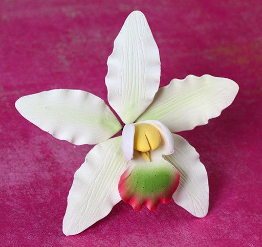 Dendrobium Orchids are gumpaste sugarflower cake decorations perfect as cake toppers for cake decorating fondant cakes and wedding cakes. Caljava wholesale cake supply. | CaljavaOnline.com