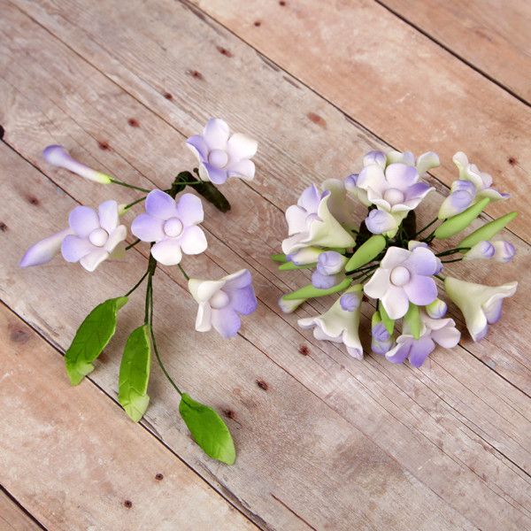 asian lavender plant Asian Stephanotis Fillers Set- Lavender — CaljavaOnline