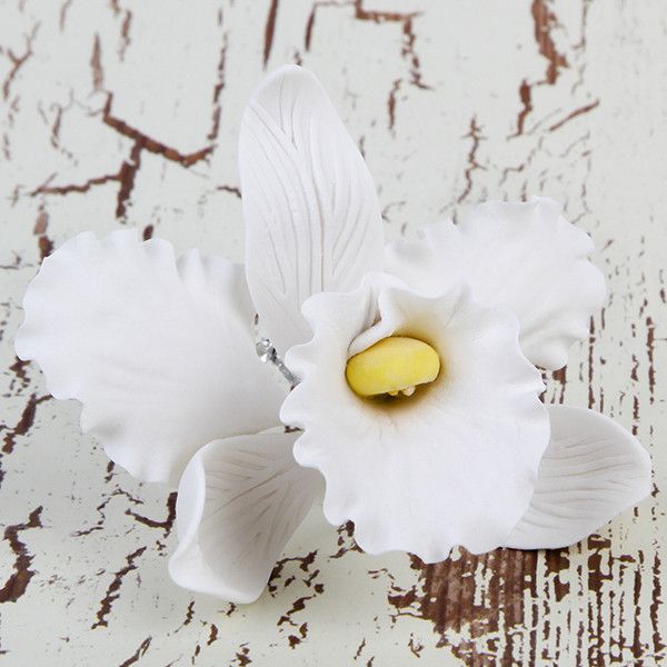 Small Cooktown Orchid Sprays in White are gumpaste sugarflower cake decorations perfect as cake toppers for cake decorating fondant cakes and wedding cakes. Caljava wholesale cake supply.