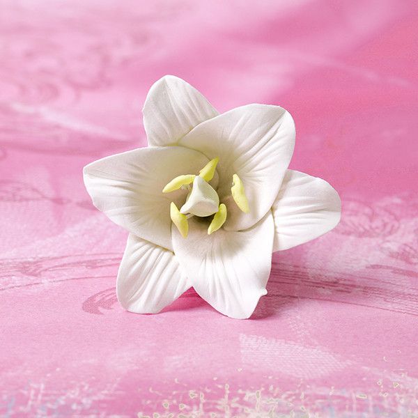 small white lilies Small Open Lilies
