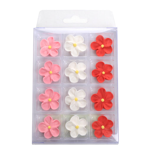 Forget Me Not Flowers Retail Pack - Assorted Colors