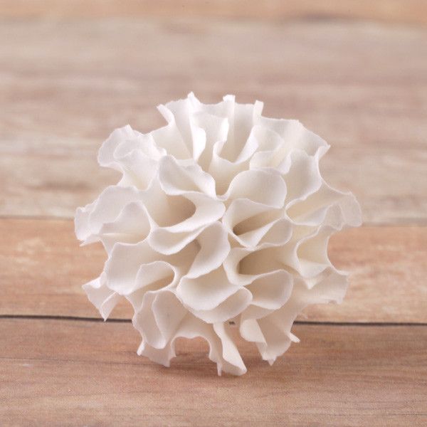 Medium Carnations - White