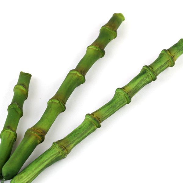 bamboo stokken Bamboo Stalks — CaljavaOnline