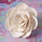 Medium Ivory Gumpaste Briar Rose handmade cake decoration.