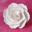 Medium White Gumpaste Briar Rose handmade cake decoration.