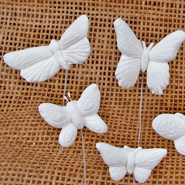 Small White (Butterflies) · iNaturalist
