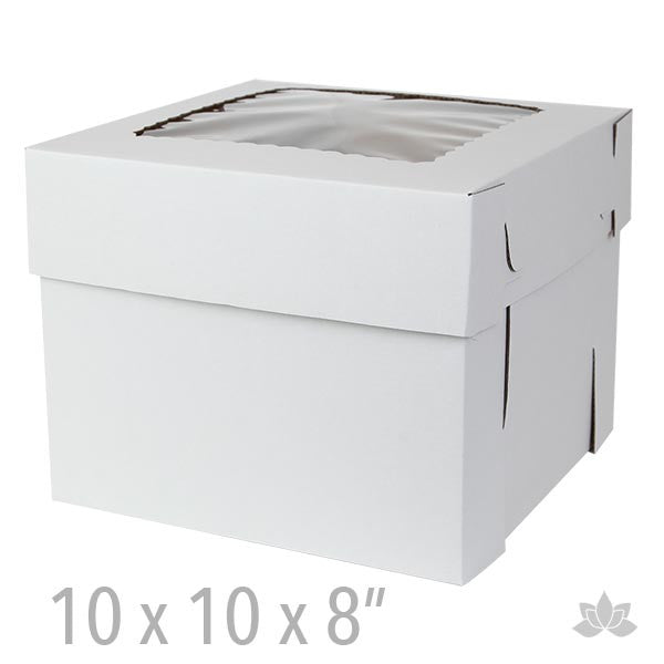 10+ Cake Transport Box