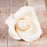 English Rose Blooms & Buds in Ivory are gumpaste sugarflower cake decorations perfect as cake toppers for cake decorating fondant cakes and wedding cakes. Caljava wholesale cake supply.