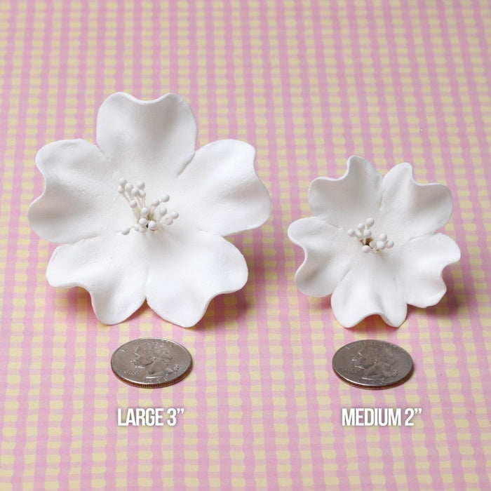 Large White Cherry Blossoms handmade cake decorations (2 sizes). Wholesale cake decoration supply. Caljava
