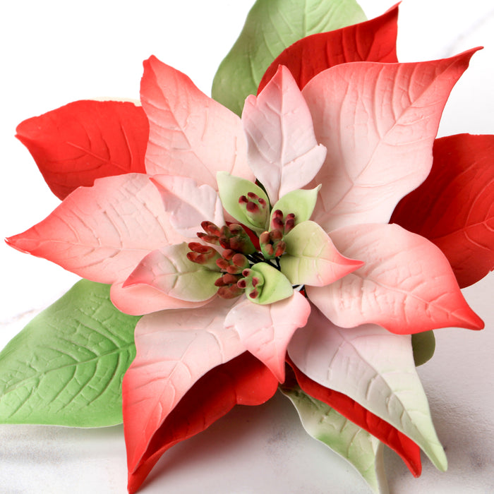 Poinsettia Gum Paste Sugar Flowers great as a cake topper for cake decorating your own holiday cakes. Perfect cake decoration for Christmas cakes and pies.