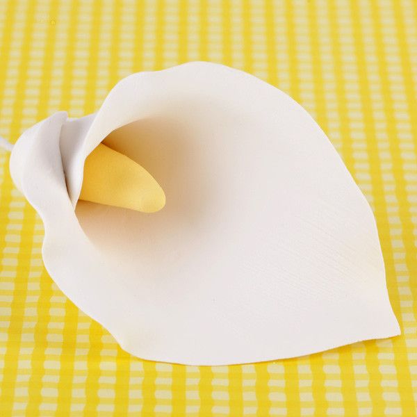 calla lily white color Jumbo Calla Lilies
