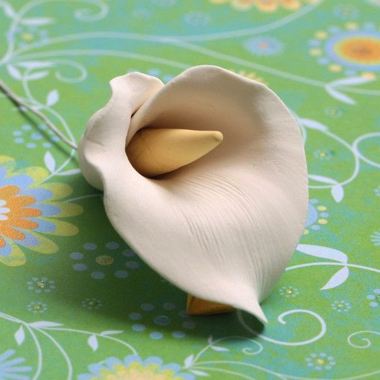 calla lily white color Calla Lily Medium