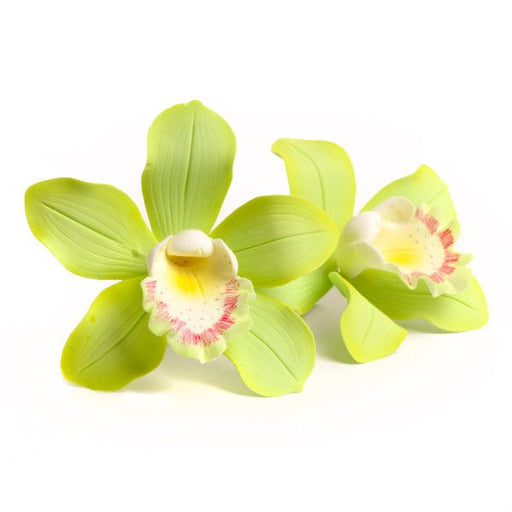Green Cymbidium Orchids readymade sugarflowers made from gumpaste perfect for cake decorating fondant cakes.  Edible Cake Toppers.