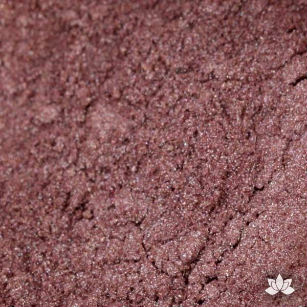 Chocolate latteLuster Dust colors for cake decorating fondant cakes, gumpaste sugarflowers, cake toppers, & other cake decorations. Wholesale cake supply. Bakery Supply. Lustre Dust Color.