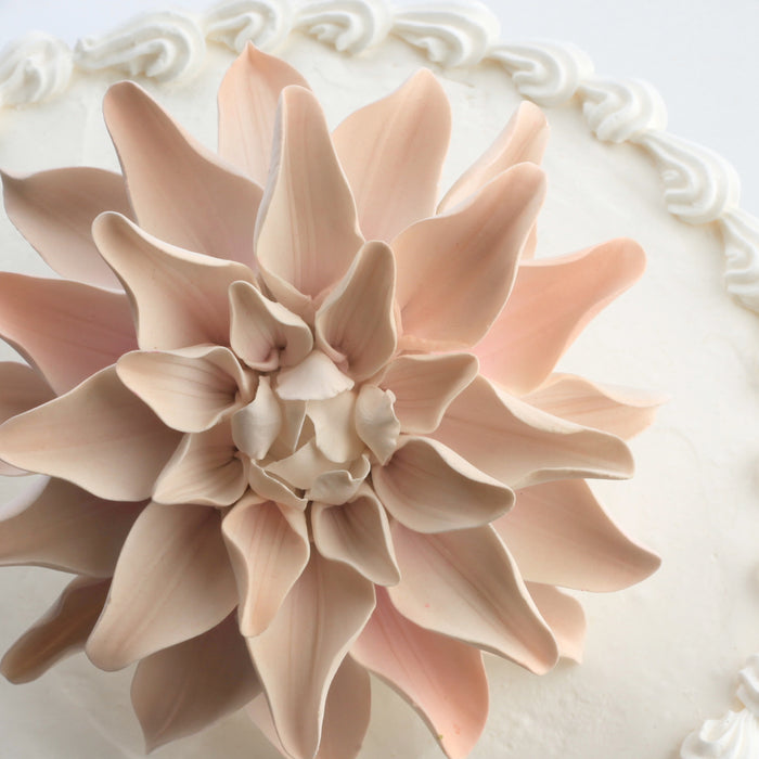 Gumpaste Dahlia Sugarflowers are perfect for cake decorating fondant wedding cakes & cupcakes. Handmade cake toppers from gumpaste/fondant. Wholesale sugarflower. Caljava Bakery Supplies