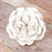 Medium Austin Heritage Rose - White