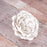 Small Austin Heritage Rose - White