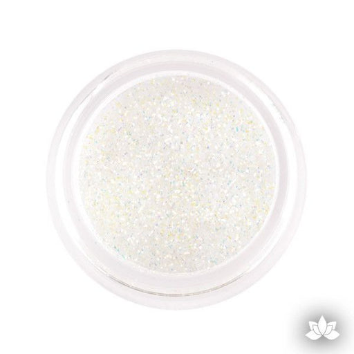 Silver Holographic Disco Dust