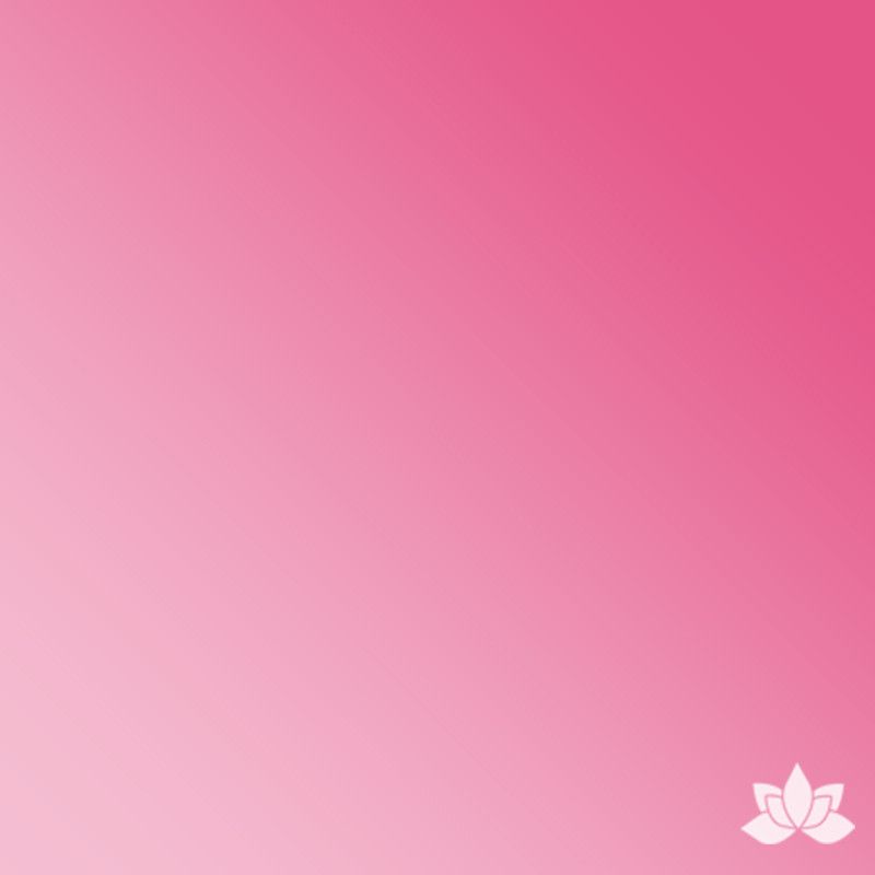 Chefmaster Gel Base Color - Deep Pink