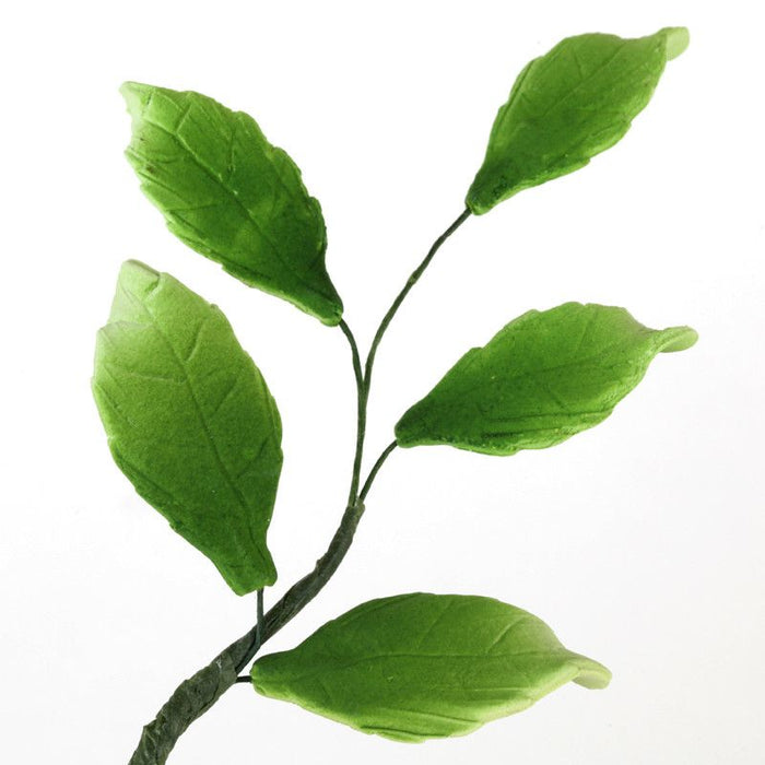 5 Green Leaf Filler sugarflower from gumpaste perfect for cake decorating fondant cakes and wedding cakes. Wholesale sugarflowers and cake supply.