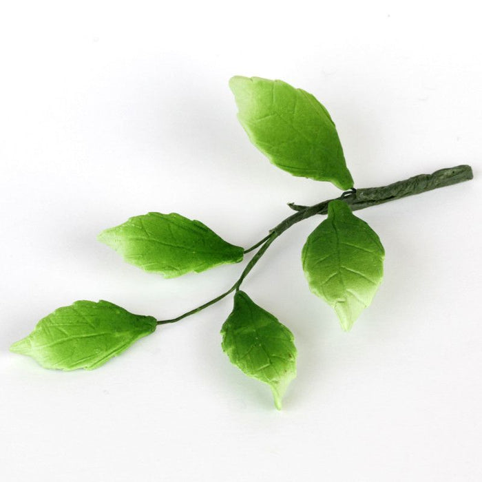 5 Green Leaf Filler sugarflower from gumpaste perfect for cake decorating fondant cakes and wedding cakes. Wholesale sugarflowers and cake supply.