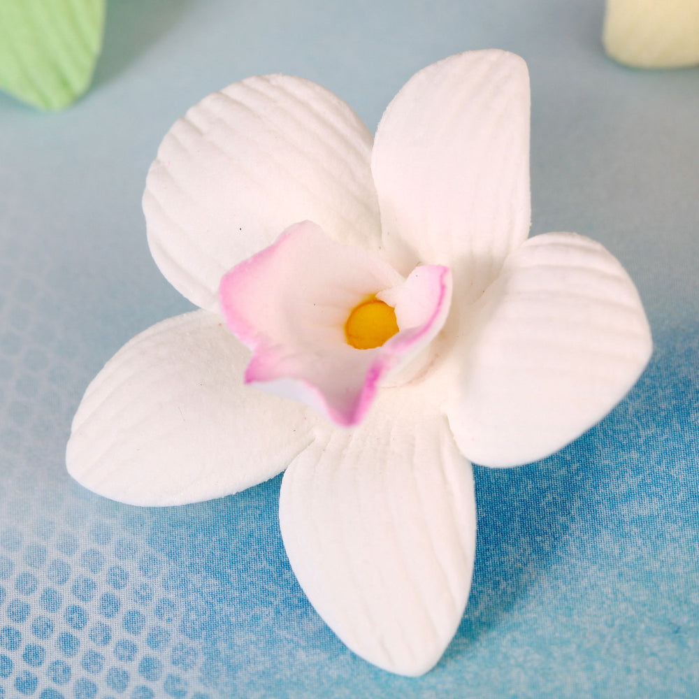 White Mini Cymbidium Orchids Cake & Cupcake Decorations handmade from gumpaste.