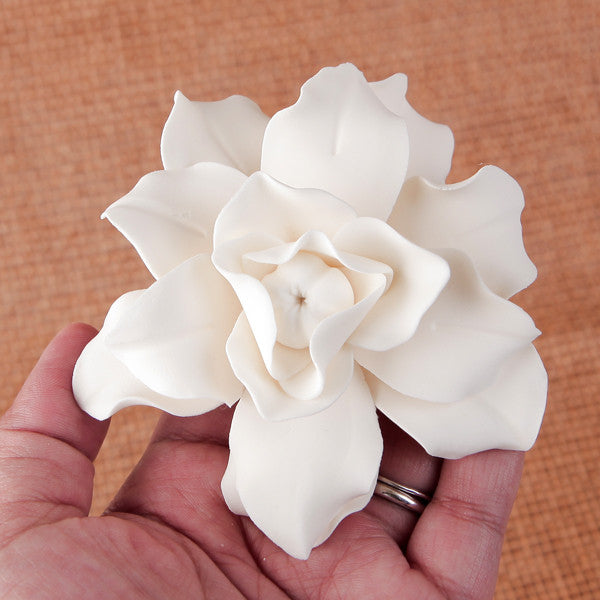 Fortuniana Gardenia - White