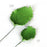 Close-up showing two sizes of green gum paste rose leaves with dimensions 2.5x1.75 inches and 1.5x1.25 inches with flexible wire stems. Wholesale sugarflowers. Wholesale cake supply.