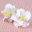 White Hibiscus sugarflower from gumpaste perfect for cake decorating fondant cakes and wedding cakes. Wholesale sugarflowers and cake supply.