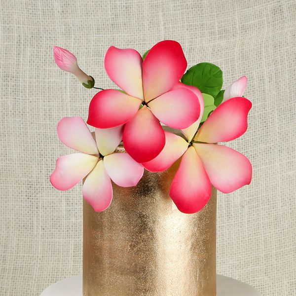 Hawaiian Bloomed Plumeria Cake Toppers, Pink Sugarflowers. Cake decorations for making your own cake. | CaljavaOnline.com