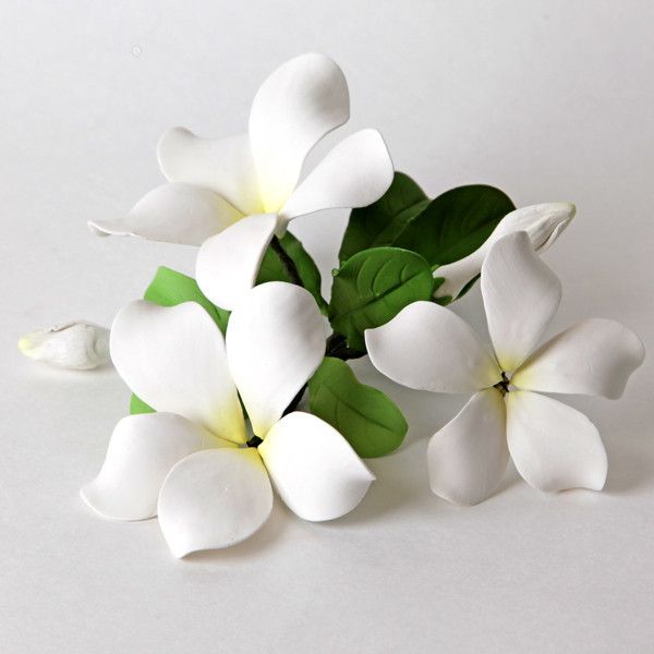 Hawaiian Bloomed Plumeria Toppers -White