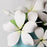 Hawaiian Bloomed Plumeria Toppers -White
