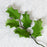 Holly leaf sugarflower from gumpaste perfect for cake decorating fondant cakes and wedding cakes. Wholesale sugarflowers and cake supply.