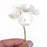 Hydrangea Bunches -White