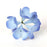 Hydrangea Bunches - Blue
